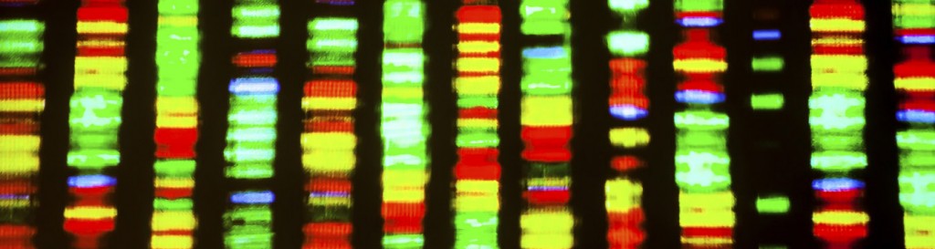 DNA Sequence