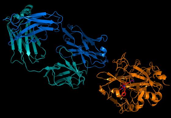 XO1 crystal structure