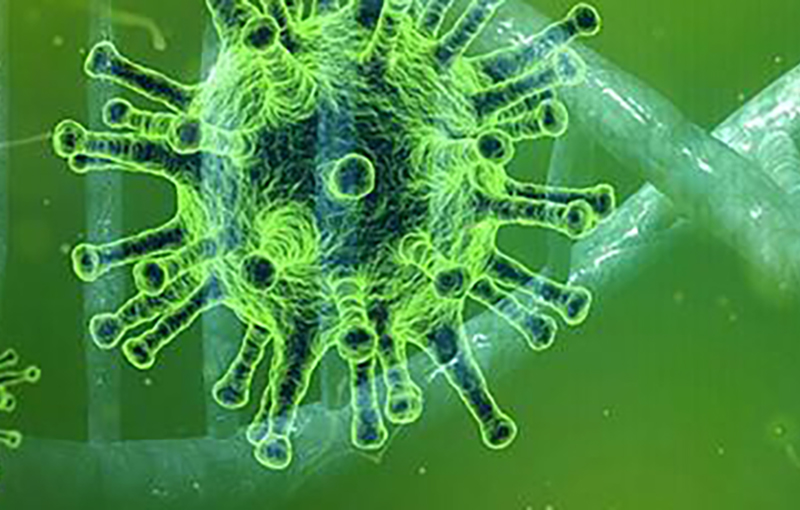 Coronavirus