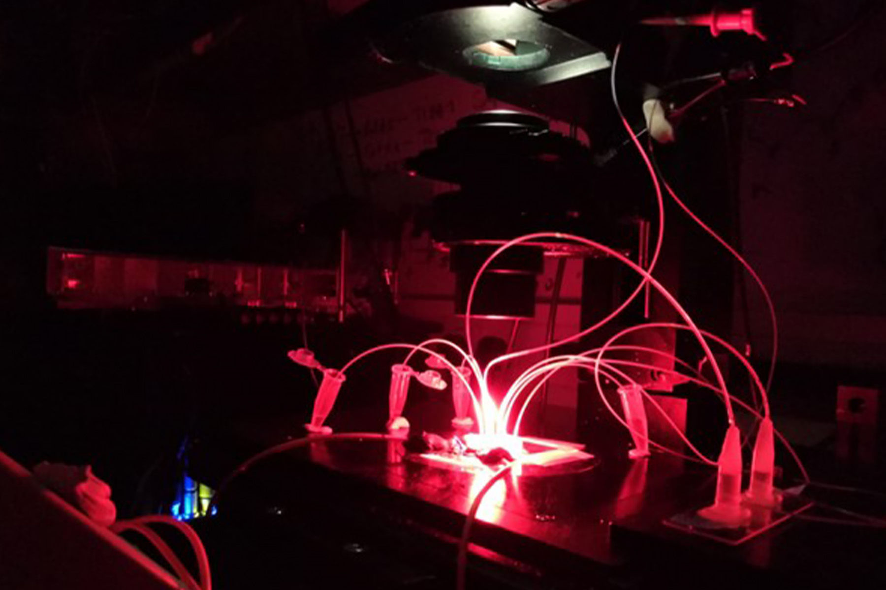 Enzyme-Based Recycling – Evoralis