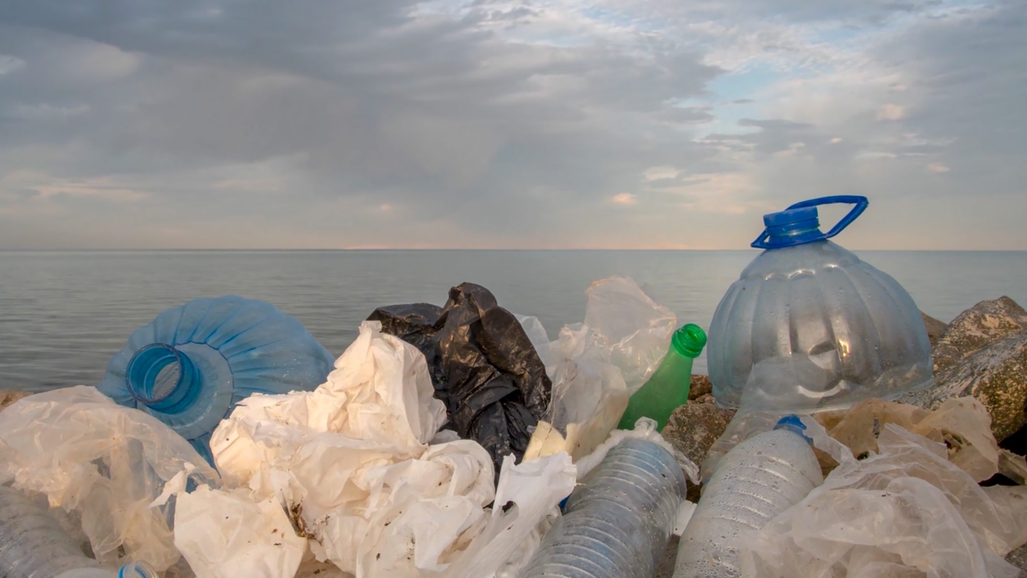 Screenshot from Protonera video showing up close plastic and the background sea