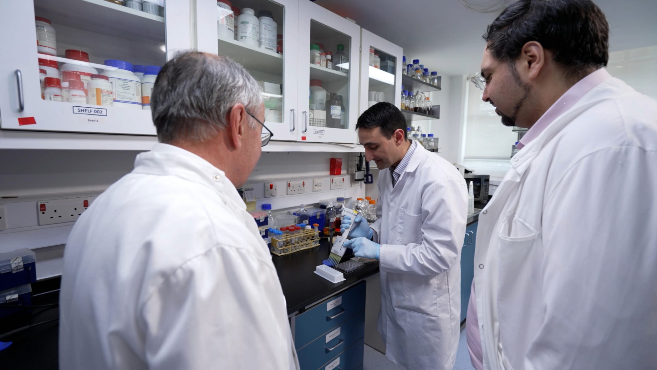 BioTryp Therapeutics: Biofilm-Inhibiting Technology