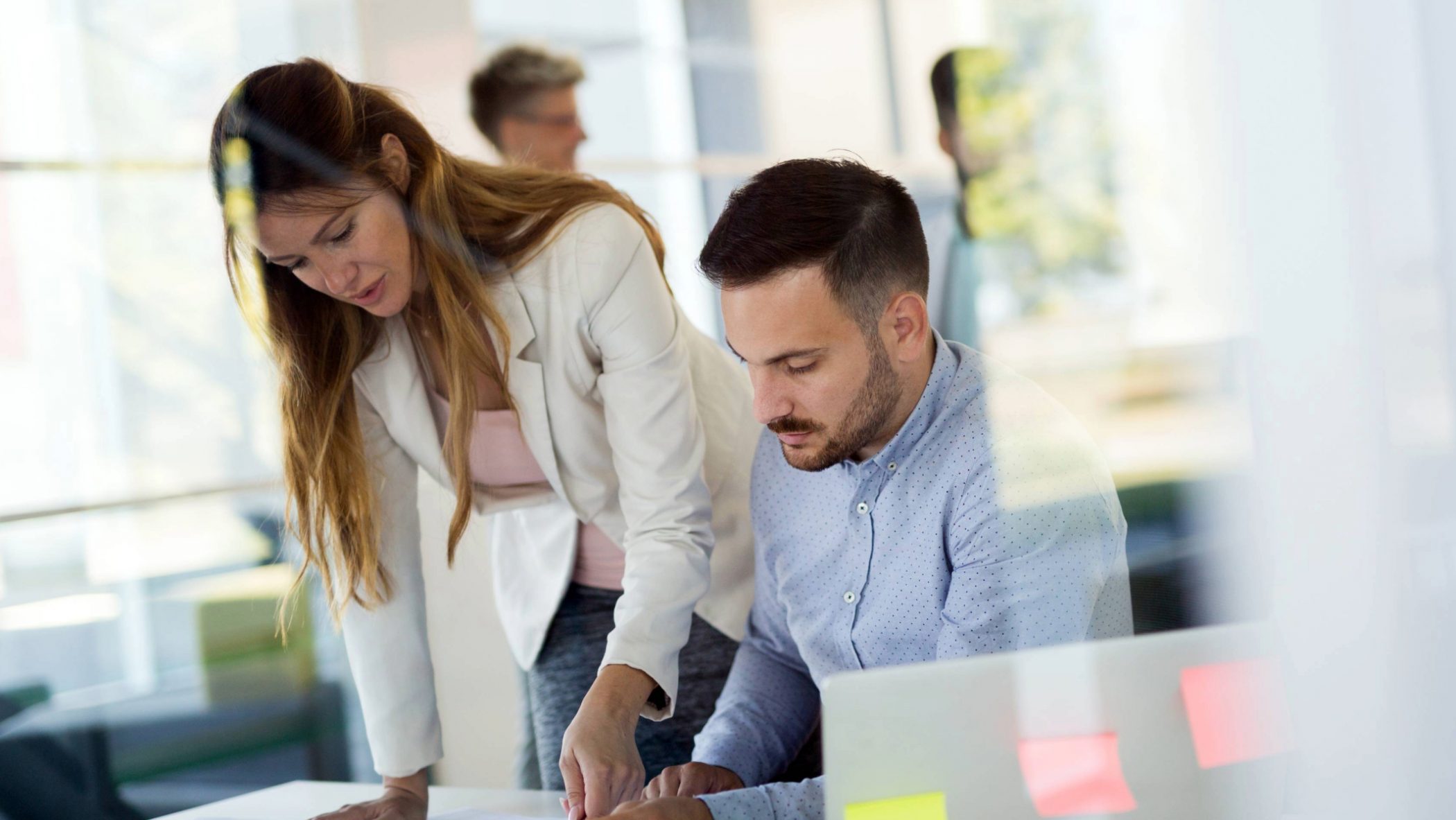Consultancy | University expertise